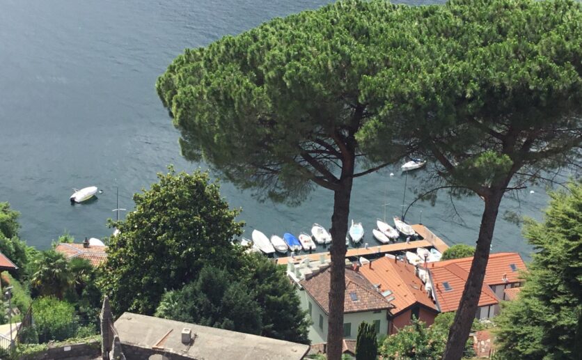 26b354f3-ded2-4220-8def-808b533eda2b