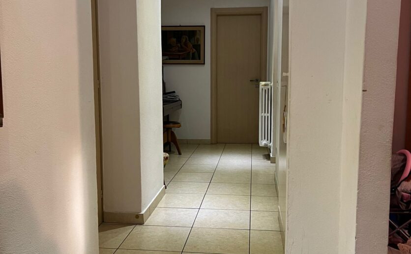 WhatsApp Image 2025-12-01 at 11.17.00