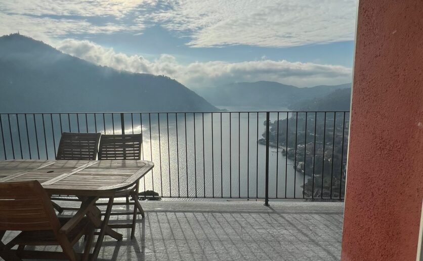 WhatsApp Image 2026-01-08 at 18.05.36