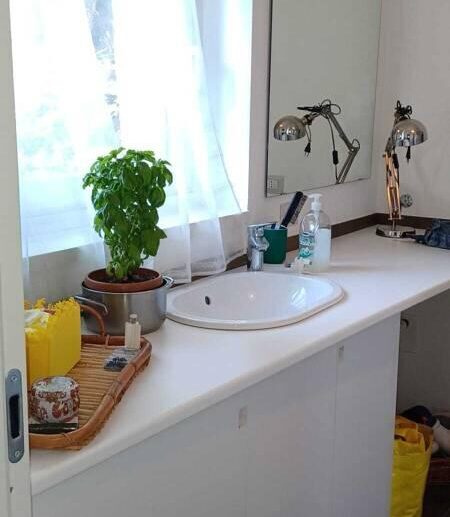 WhatsApp Image 2026-01-13 at 17.55.20