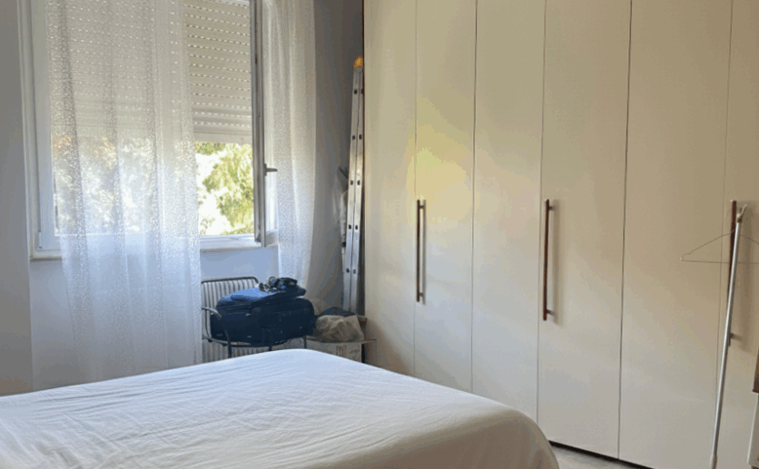 Gemini_Generated_Image_mxy9ntmxy9ntmxy9