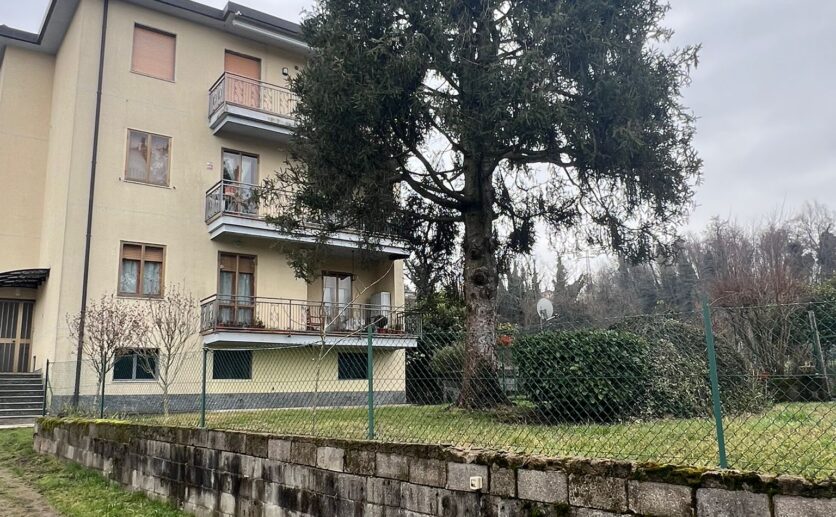 WhatsApp Image 2026-02-09 at 16.08.00