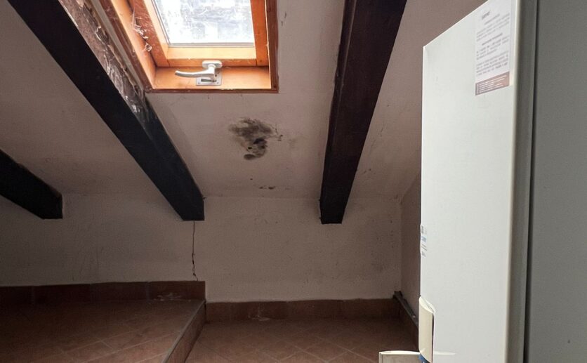 WhatsApp Image 2026-02-10 at 12.45.18