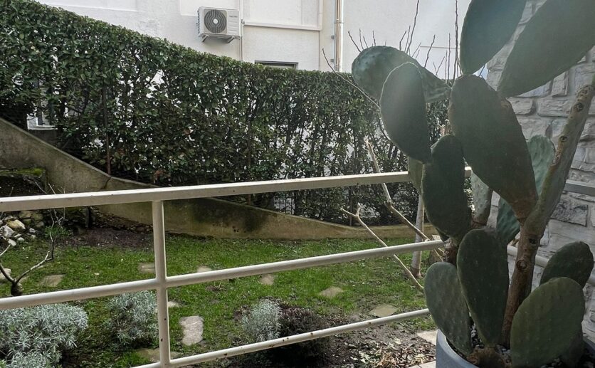 WhatsApp Image 2026-02-11 at 17.28.12 (1)