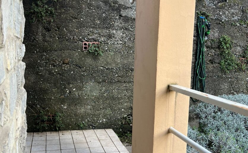 WhatsApp Image 2026-02-11 at 17.28.12 (3)