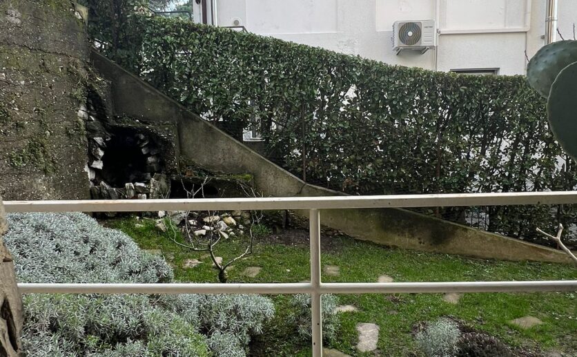 WhatsApp Image 2026-02-11 at 17.28.12