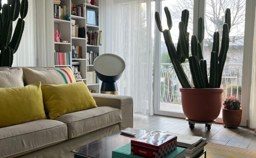 WhatsApp Image 2026-02-11 at 17.28.13 (2)