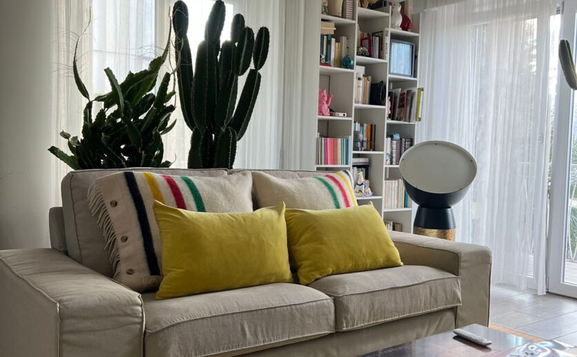 WhatsApp Image 2026-02-11 at 17.28.13 (3)