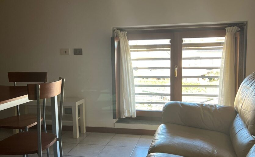 WhatsApp Image 2026-02-18 at 10.39.24 (7)