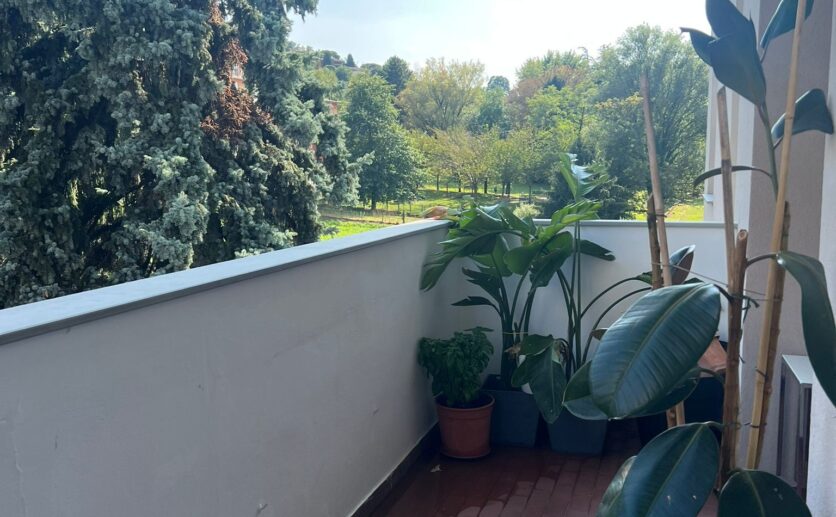 ea02b9b5-ff40-4fd8-ab2a-54c782fca9a2