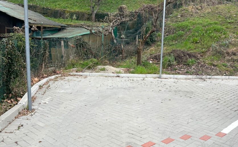 WhatsApp Image 2026-03-02 at 18.19.30 (6)